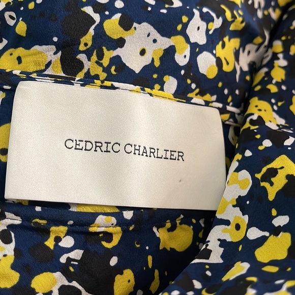 $700 CEDRIC CHARLIER FLOWING SKIRT WITH SPECKLED PRINT Size 8 - Picture 3 of 5
